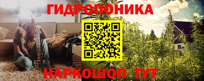 стафф Свободный