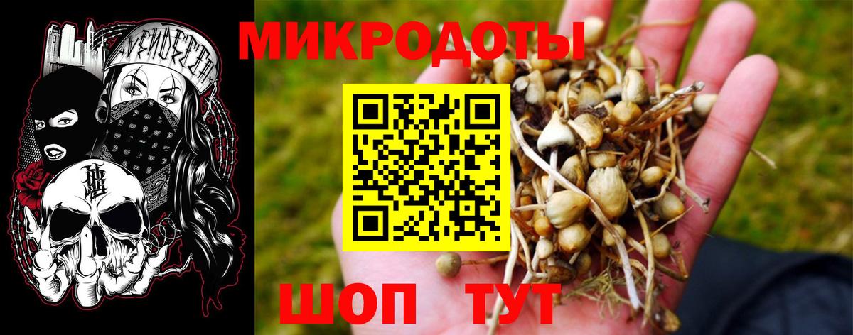 Галлюциногенные грибы прущие грибы Миллерово
